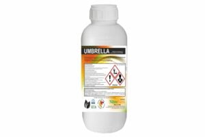 UMBRELLA 500cc