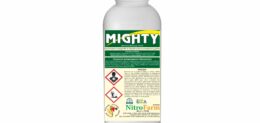 MIGHTY 1LT