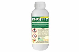 MIGHTY 500cc