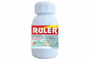 RULER 100cc