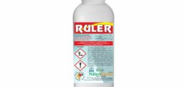 RULER 500cc