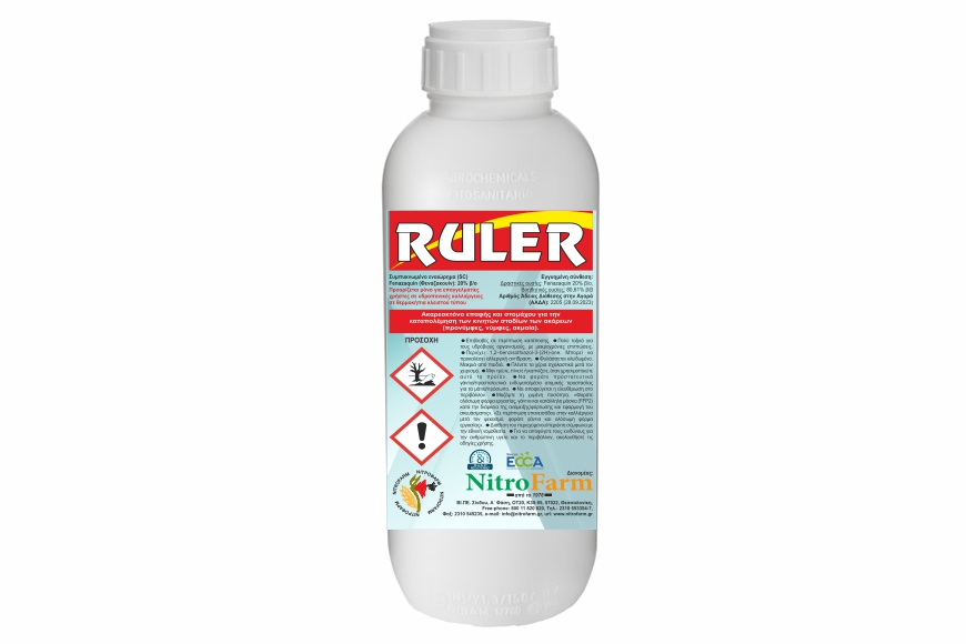 RULER 500cc