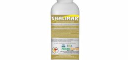 SHALIMAR 1LT