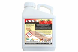 CHILA 1Kg