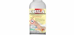 CHILA 500gr