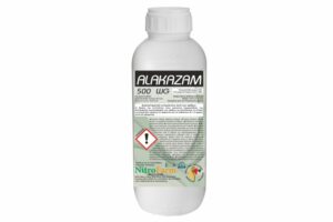 ALAKAZAM 150gr
