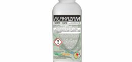 ALAKAZAM 500gr