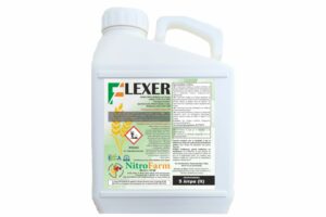 FLEXER 5LT