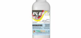 PLEFSI WG 100gr