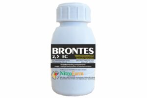 BRONTES 100cc