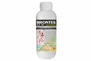 BRONTES 500cc