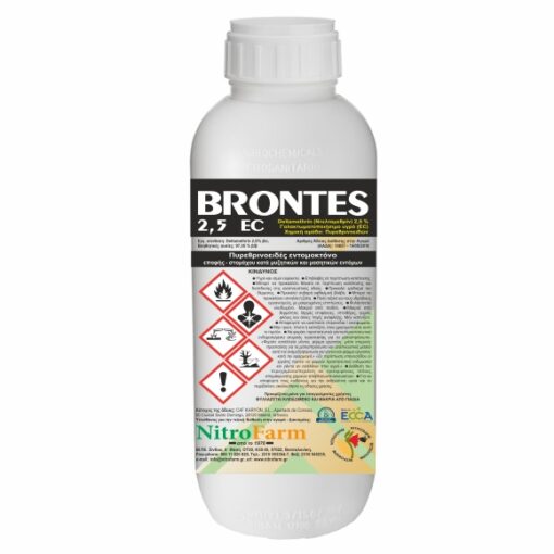 BRONTES 500cc