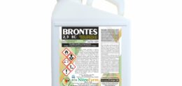 BRONTES 5LT