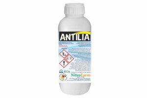 ANTILIA 1LT