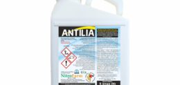 ANTILIA 5LT