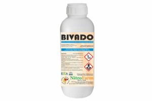 BIVADO 500cc