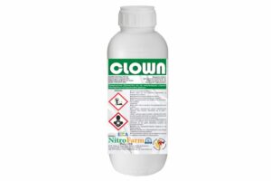 CLOWN 500cc