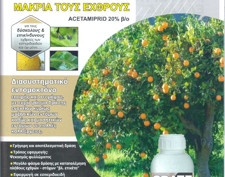 ΑΓΡΟΤΥΠΟΣ CRATE ΣΕΠΤΕΜΒΡΙΟΣ