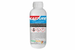 CAPTURE 250gr
