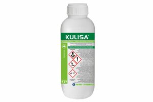 KULISA 1LT