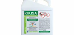 KULISA 3LT