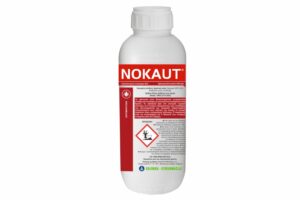 NOKAUT 200cc