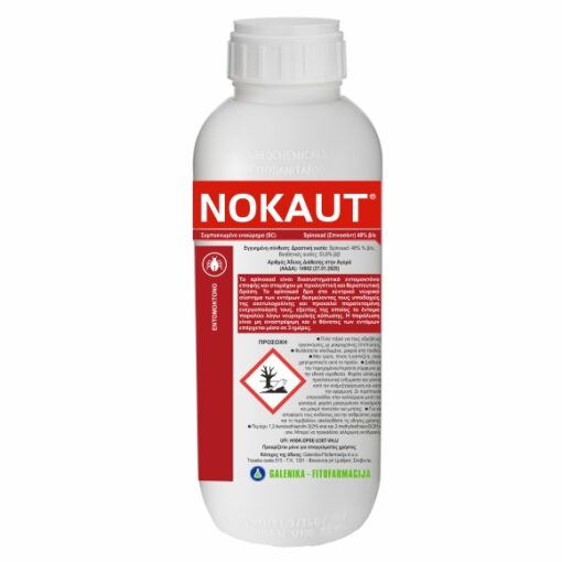 NOKAUT 200cc