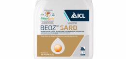 BEOZ SARD 10LT
