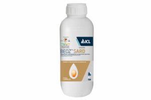 BEOZ SARD 1LT