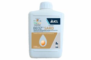 BEOZ SARD 2LT