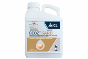 BEOZ SARD 5LT