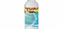K S ultimate 1LT