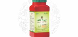AG FORT 1LT