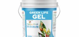 GREEN LIFE GEL 20 20 20 5Kg