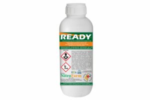 READY 1LT