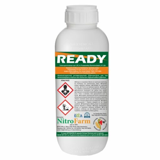 READY 1LT