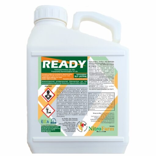 READY 5LT