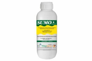 SUMO 1LT