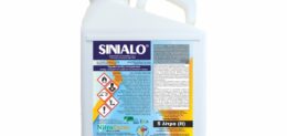 SINIALO 5LT