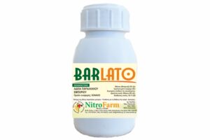 BARLATO 100cc